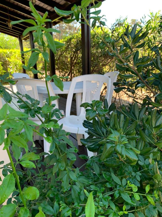 Cabanas Del Este Sauce de Portezuelo Buitenkant foto